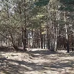 Holiday home Sosnowelowe *