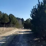 Sosnowelowe