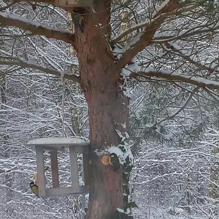 Sosnowelowe Casa vacanze