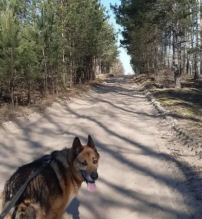 Nyaraló Sosnowelowe