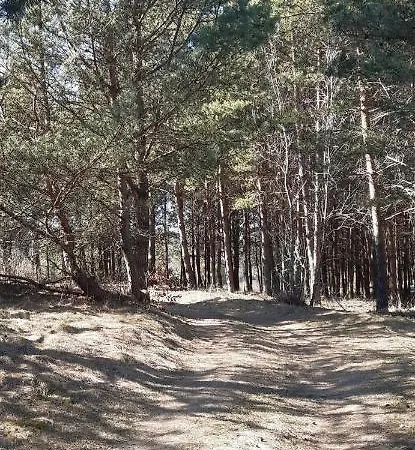 Prázdninový dům Sosnowelowe *