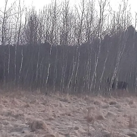 Prázdninový dům Sosnowelowe *