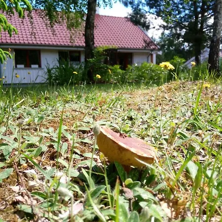 Prázdninový dům Sosnowelowe *