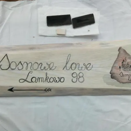 Prázdninový dům Sosnowelowe *