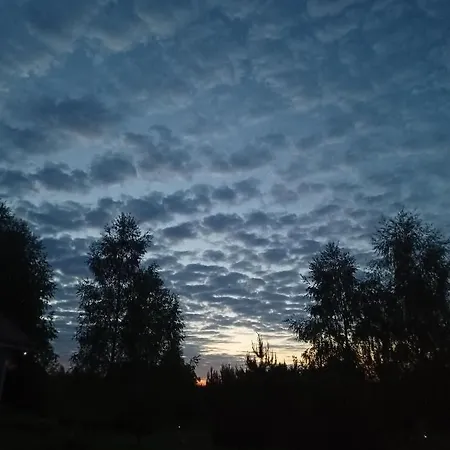Sosnowelowe Nyaraló