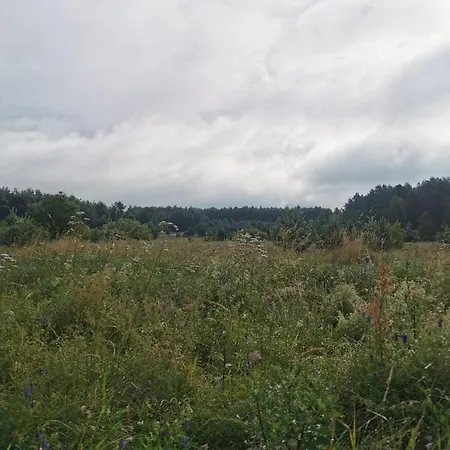 Sosnowelowe Nyaraló *