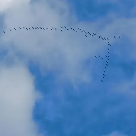 Prázdninový dům Sosnowelowe Lamkowo