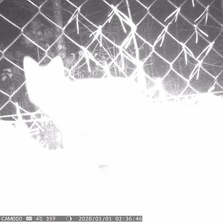 Nyaraló Sosnowelowe Lamkowo