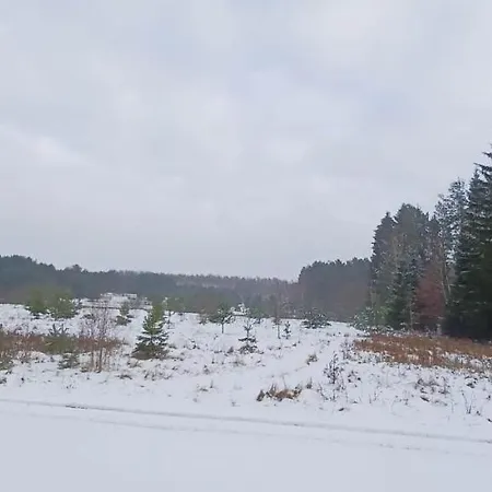 Nyaraló Sosnowelowe Lamkowo